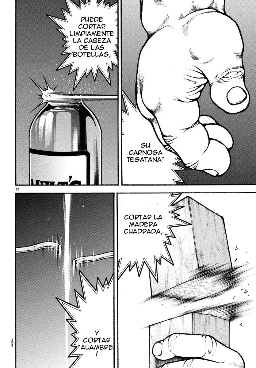 Baki Dou capítulo 60, página 13