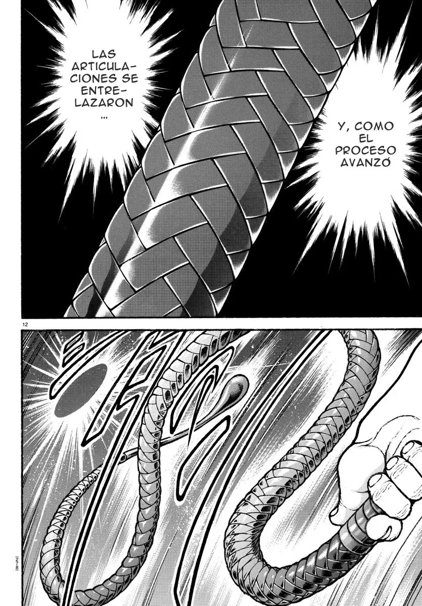 Baki Dou capítulo 76, página 13
