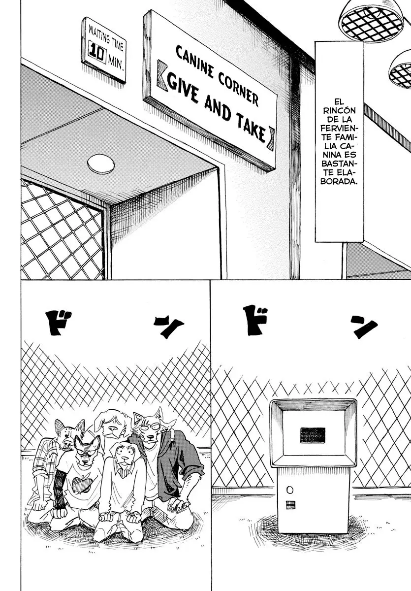 Beastars capítulo 123, página 13