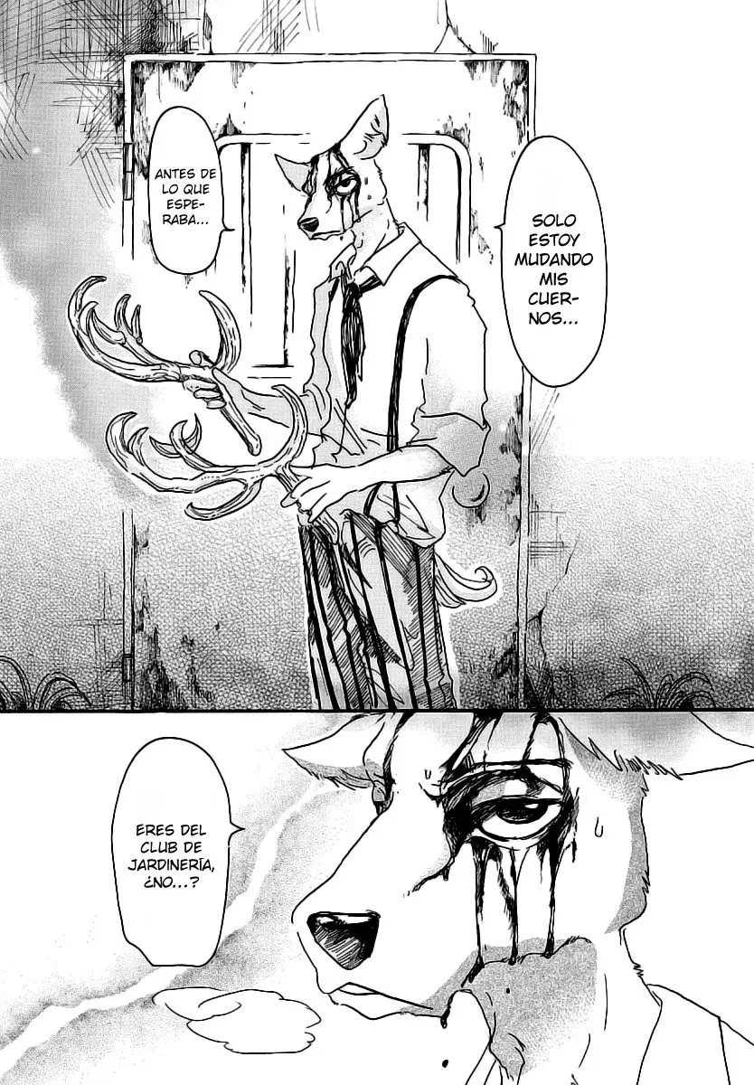 Beastars capítulo 26, página 9