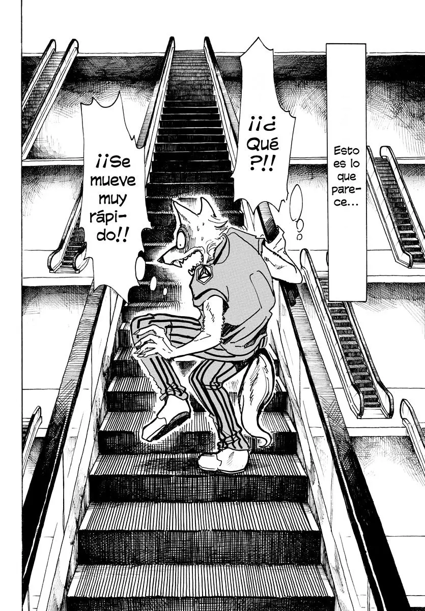 Beastars capítulo 43, página 11