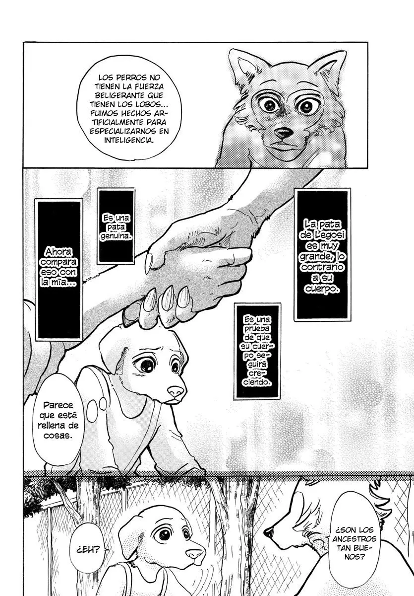 Beastars capítulo 49, página 13