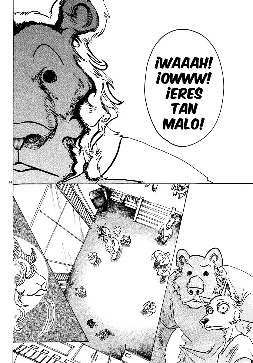 Beastars capítulo 81, página 14