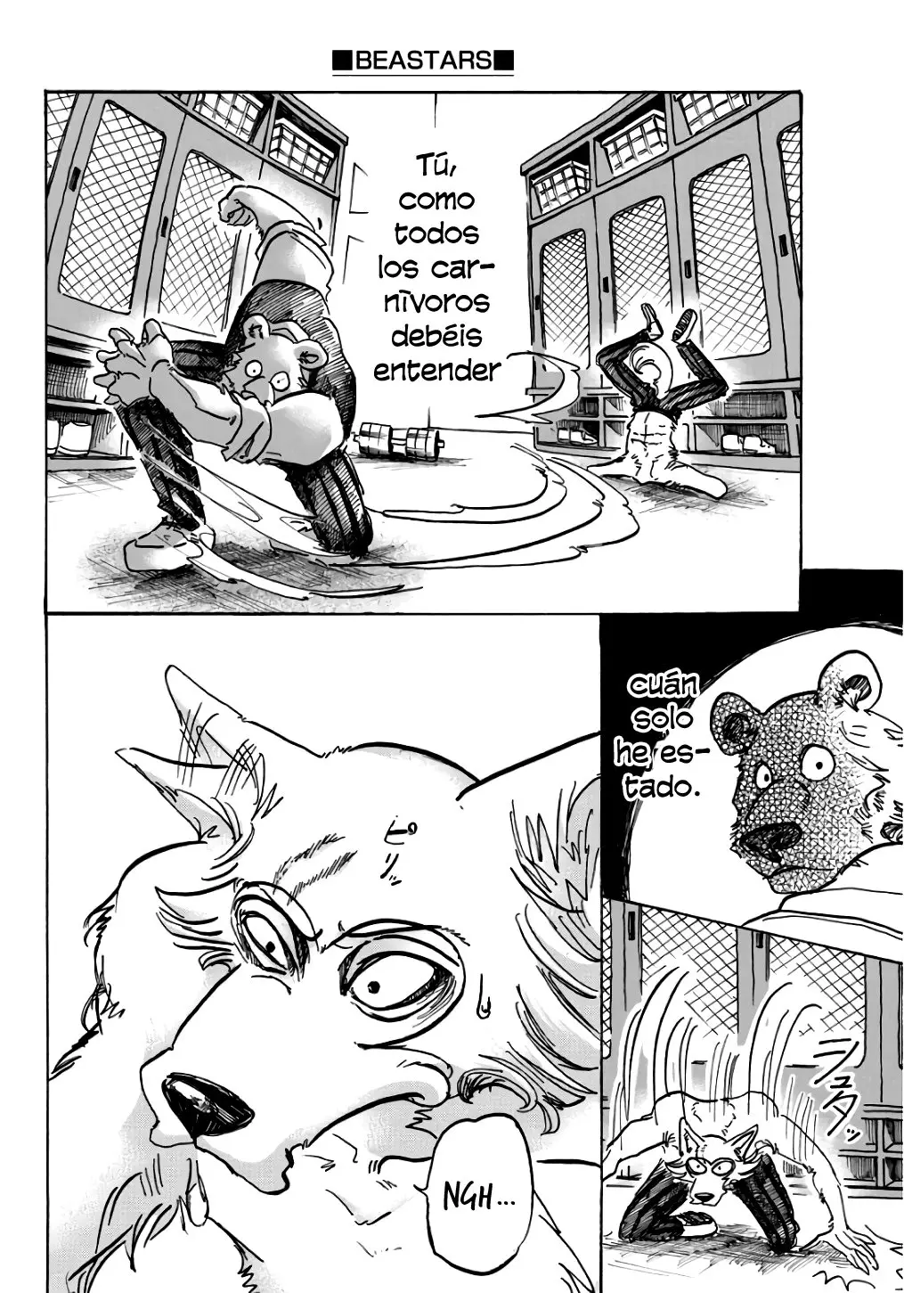 Beastars capítulo 84, página 12