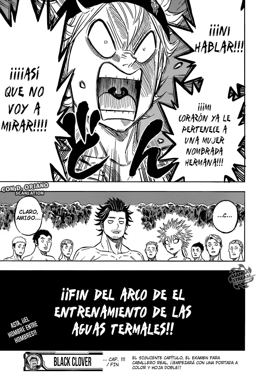 Black Clover capítulo 111, página 17