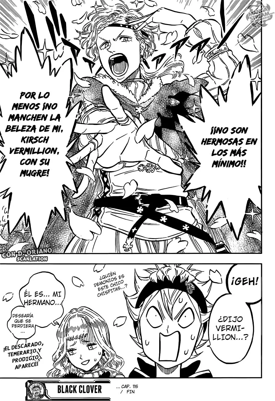 Black Clover capítulo 115, página 17