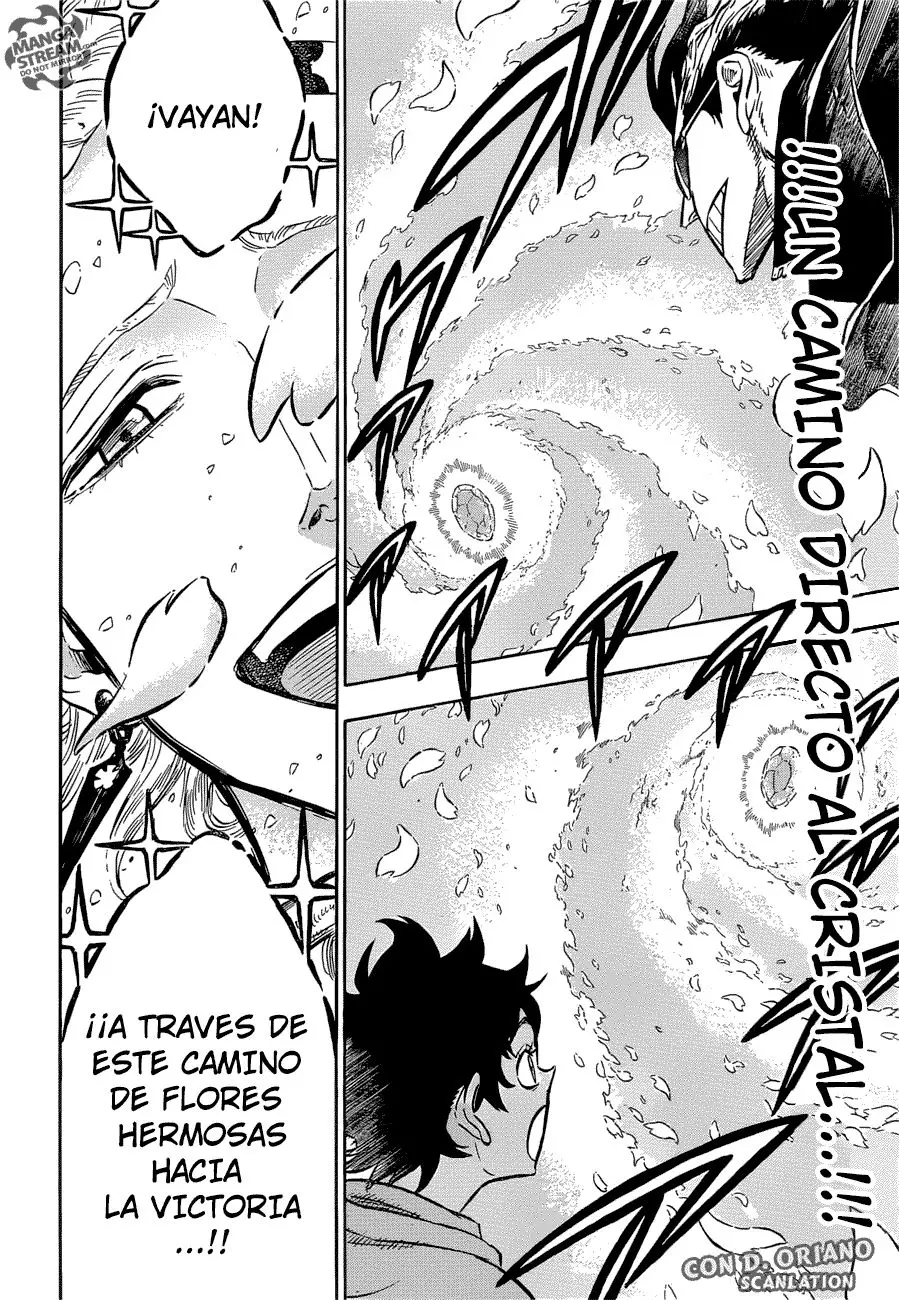Black Clover capítulo 116, página 13