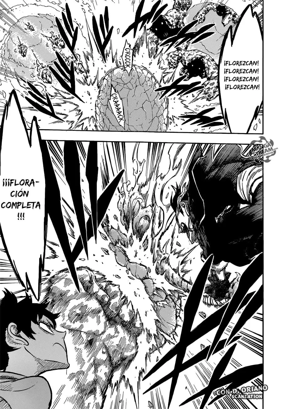 Black Clover capítulo 116, página 14