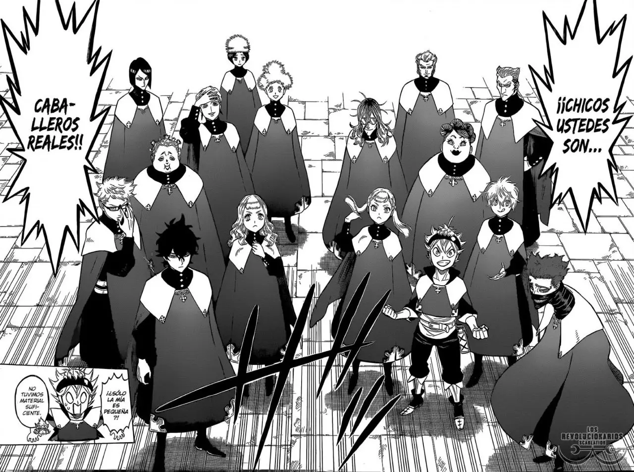 Black Clover capítulo 134, página 13