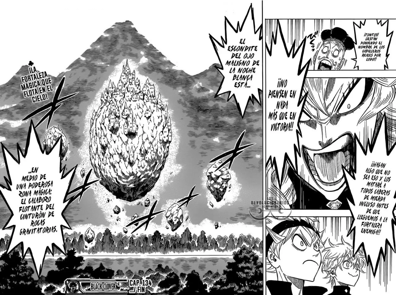 Black Clover capítulo 134, página 16