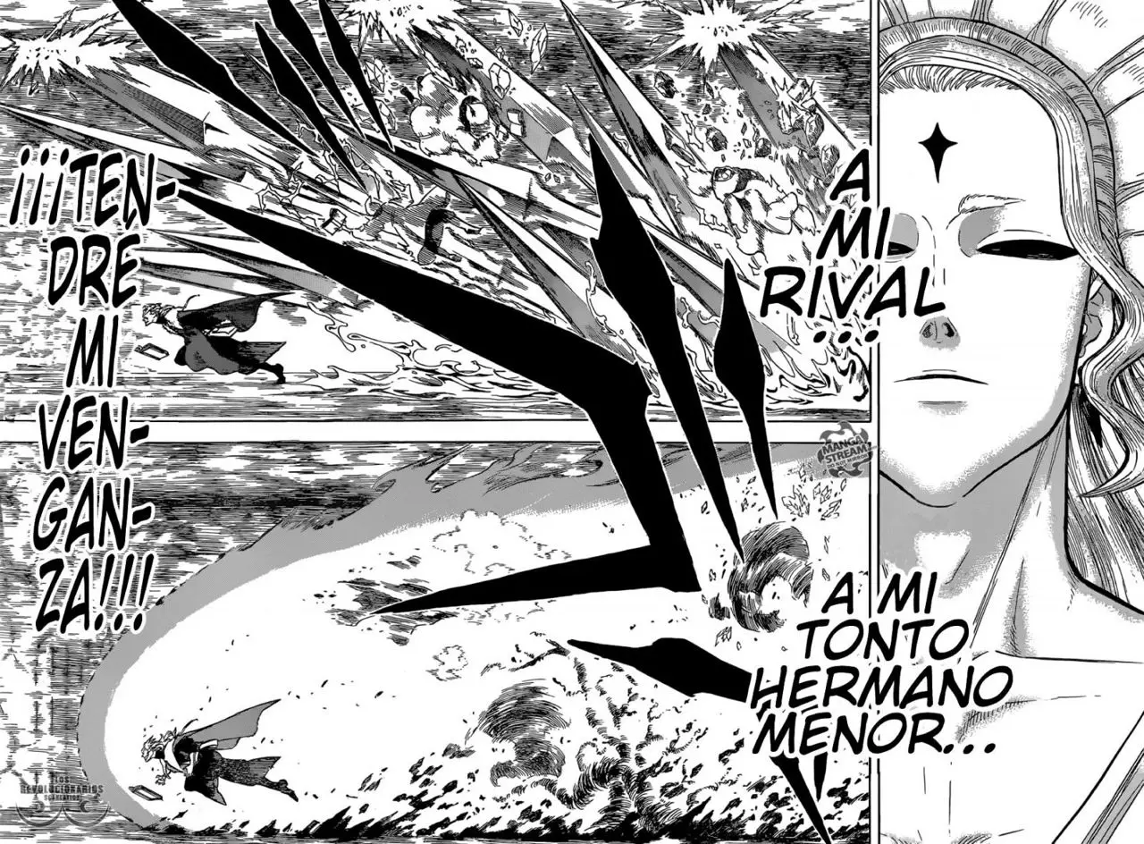 Black Clover capítulo 135, página 14