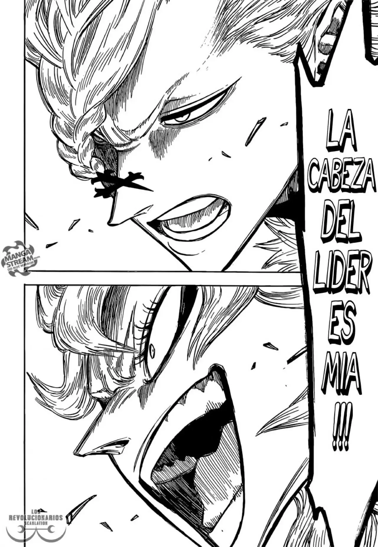 Black Clover capítulo 135, página 15