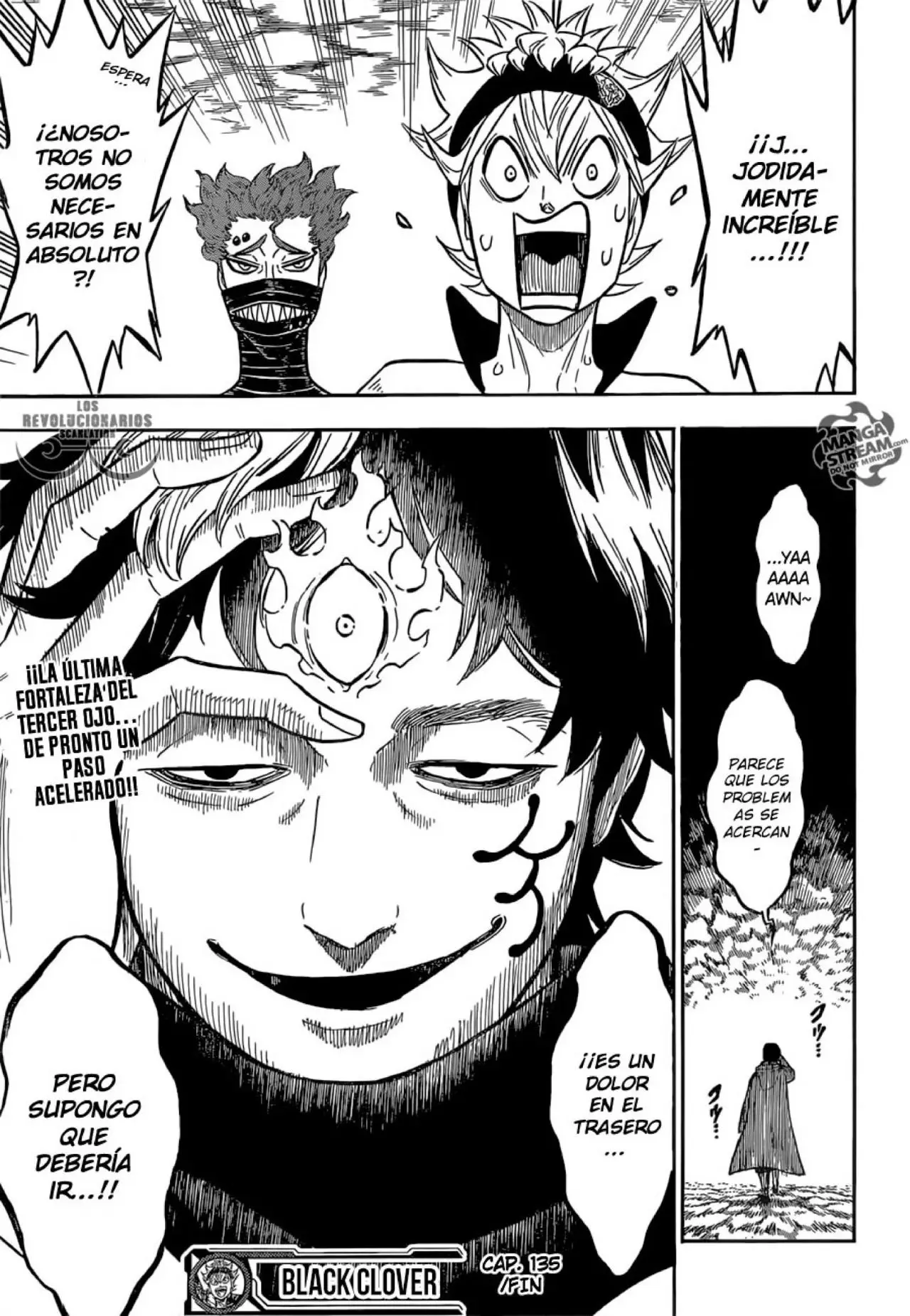 Black Clover capítulo 135, página 16