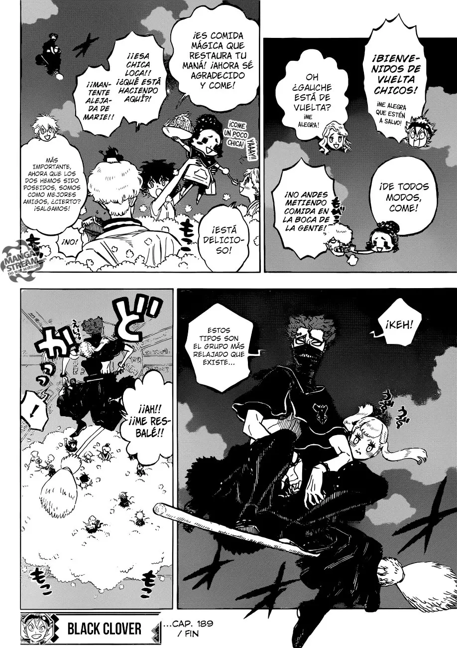 Black Clover capítulo 189, página 17