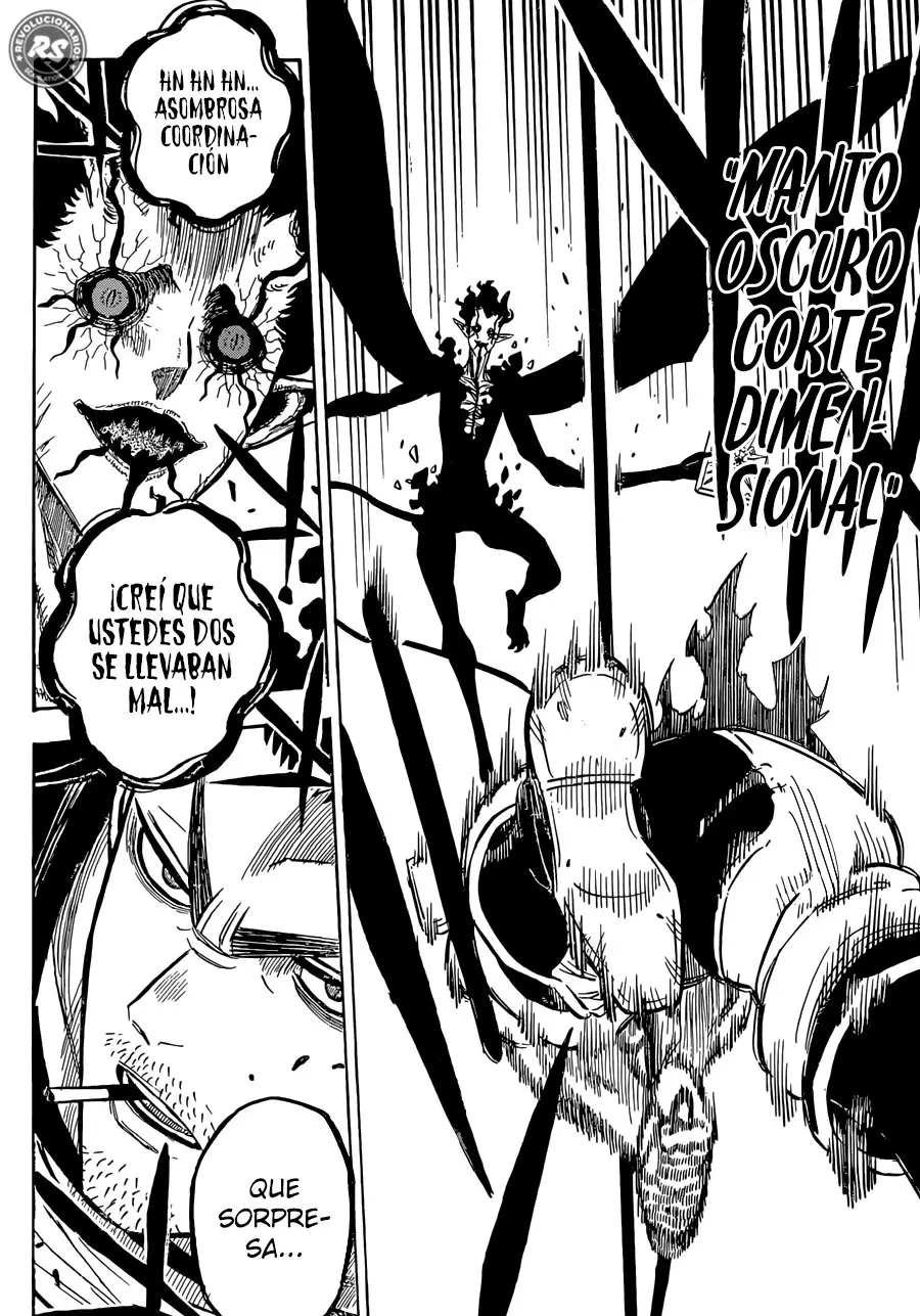 Black Clover capítulo 201, página 15