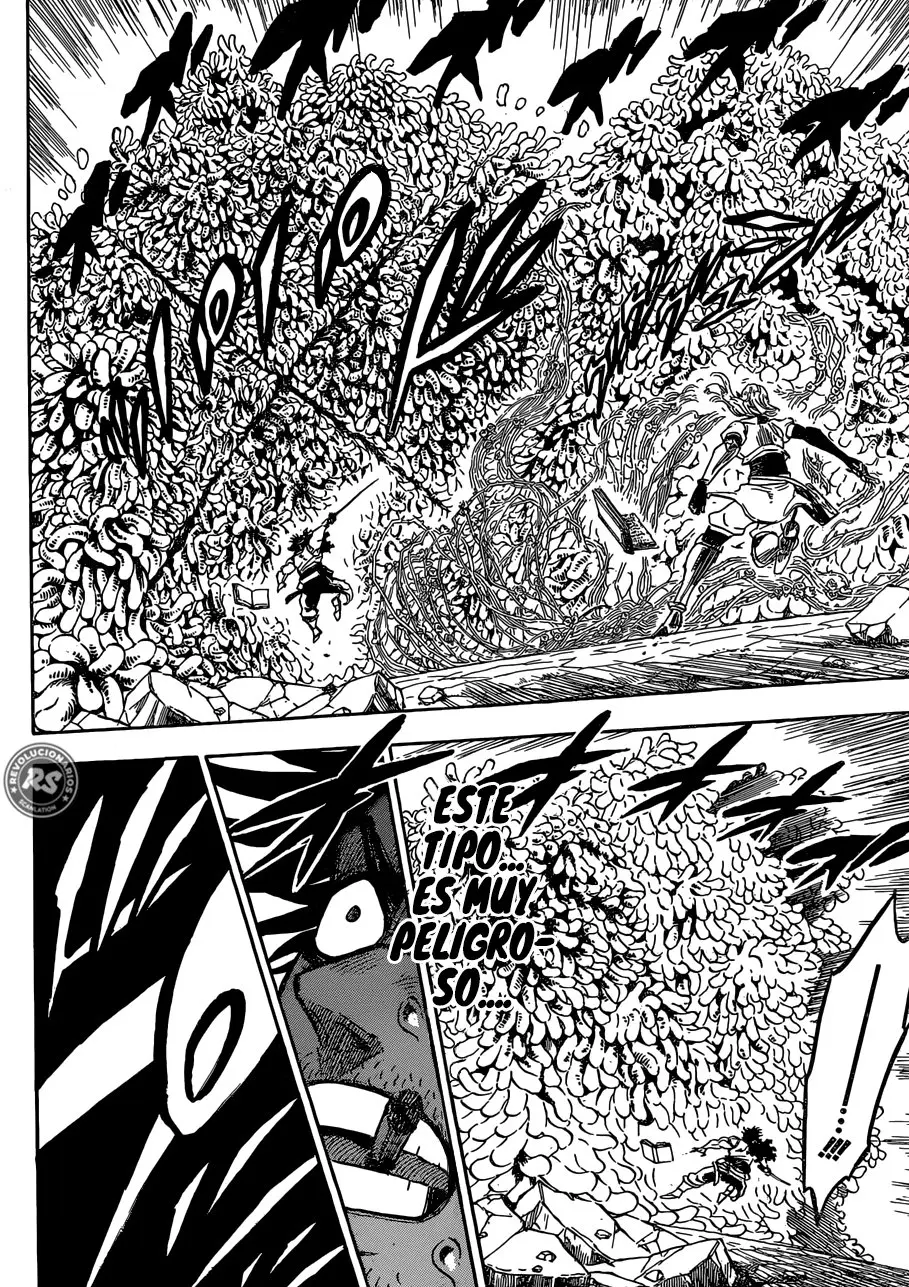 Black Clover capítulo 202, página 12