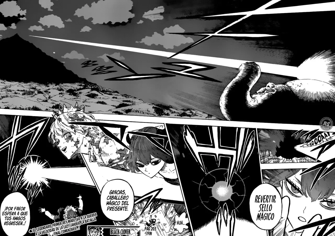 Black Clover capítulo 203, página 14