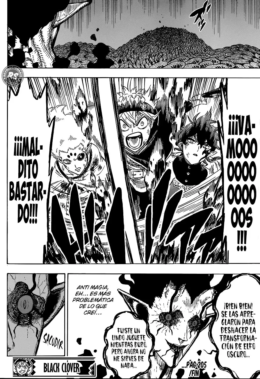 Black Clover capítulo 205, página 14
