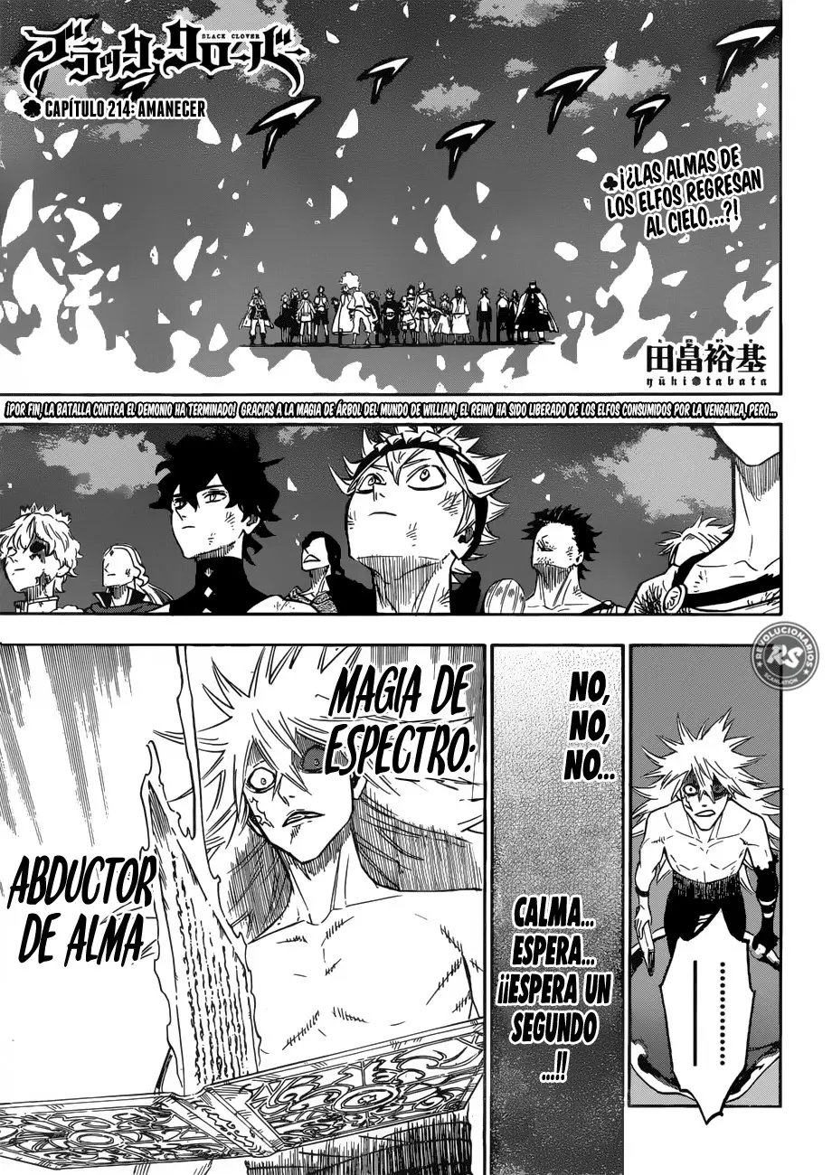Black Clover capítulo 214, página 2