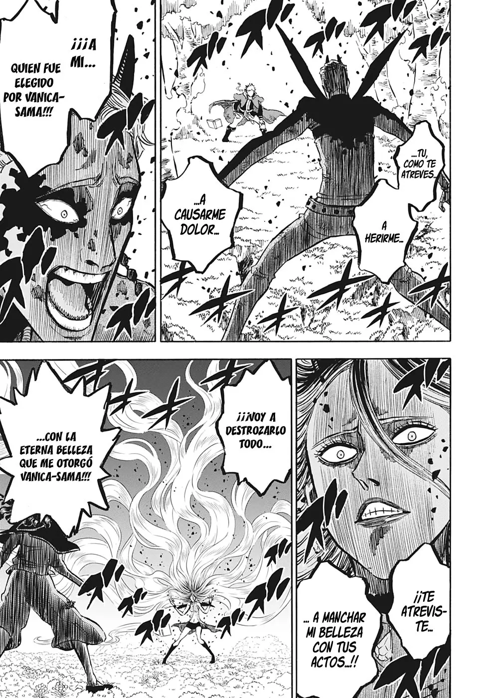 Black Clover capítulo 251, página 14