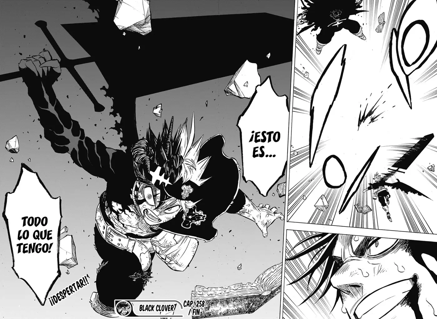 Black Clover capítulo 258, página 14
