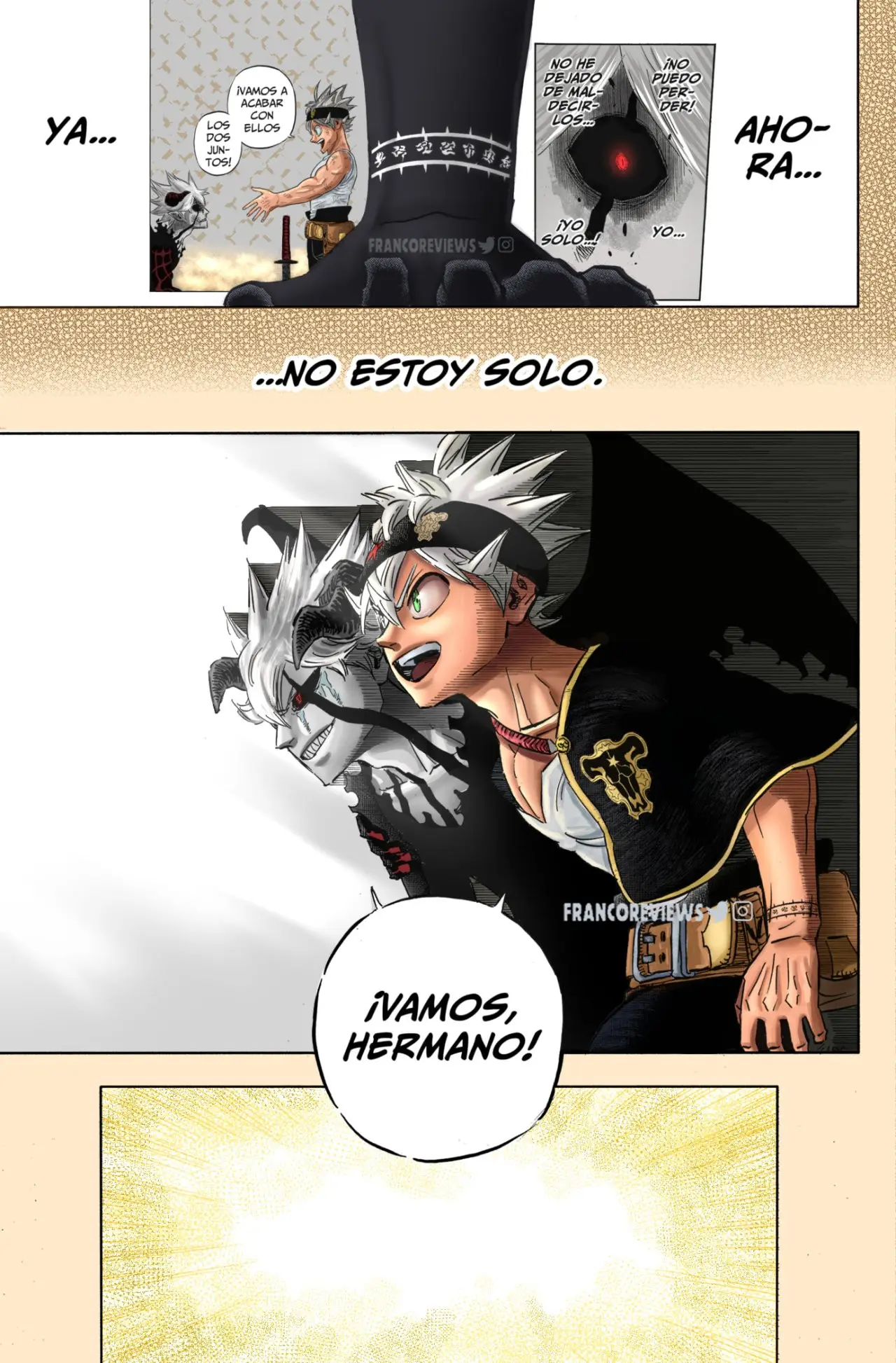 Black Clover capítulo 326.5, página 14