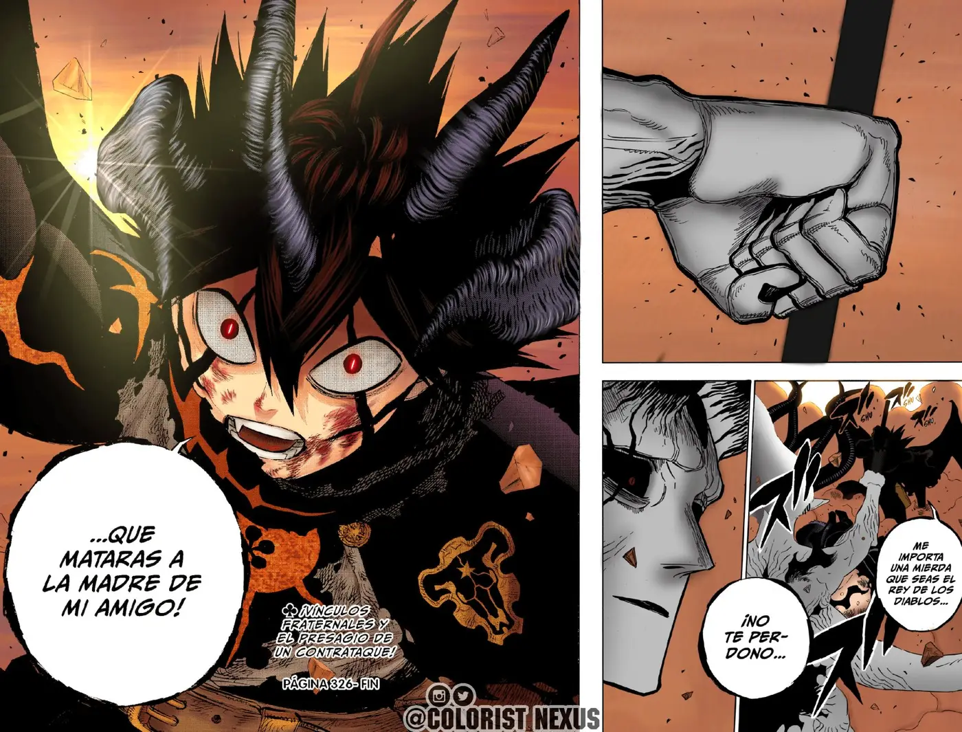 Black Clover capítulo 326.5, página 15