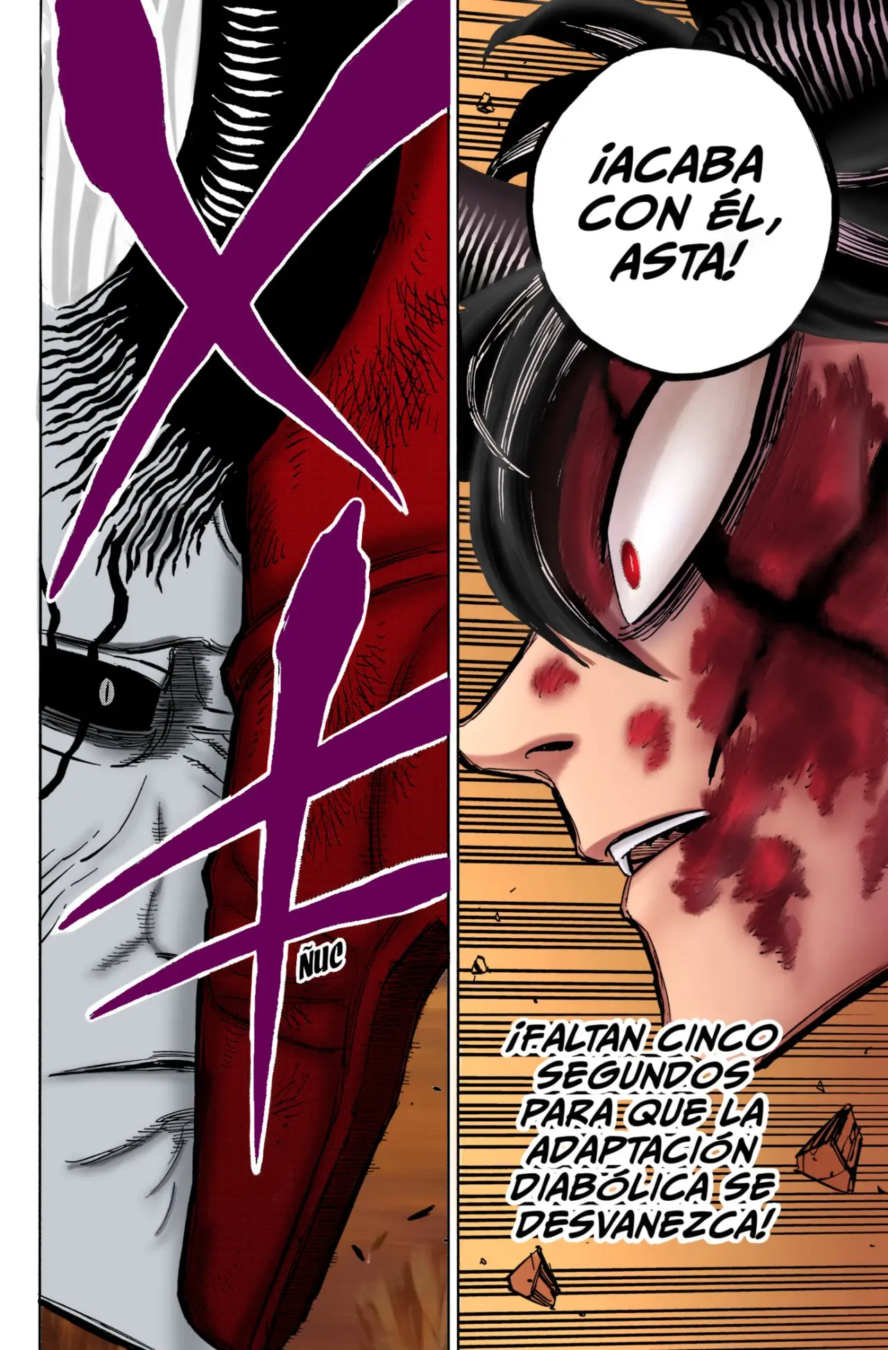 Black Clover capítulo 327.5, página 11