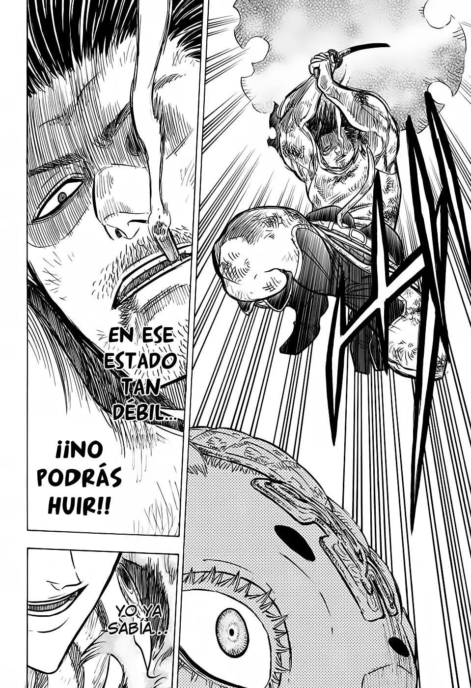 Black Clover capítulo 52, página 16