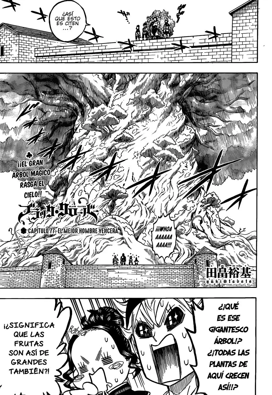 Black Clover capítulo 77, página 2