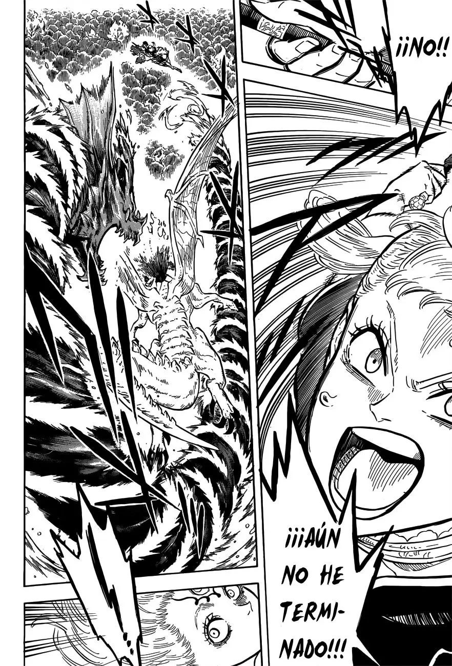 Black Clover capítulo 87, página 14
