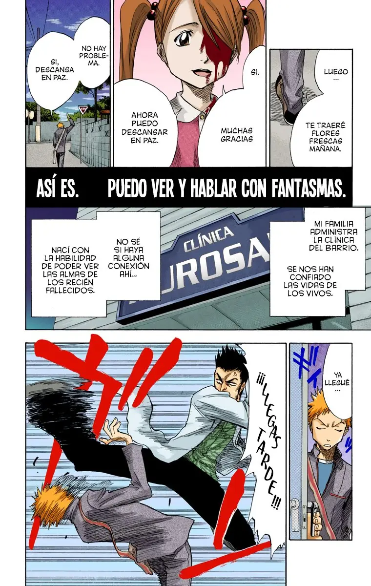 Bleach (Color) capítulo 1, página 10