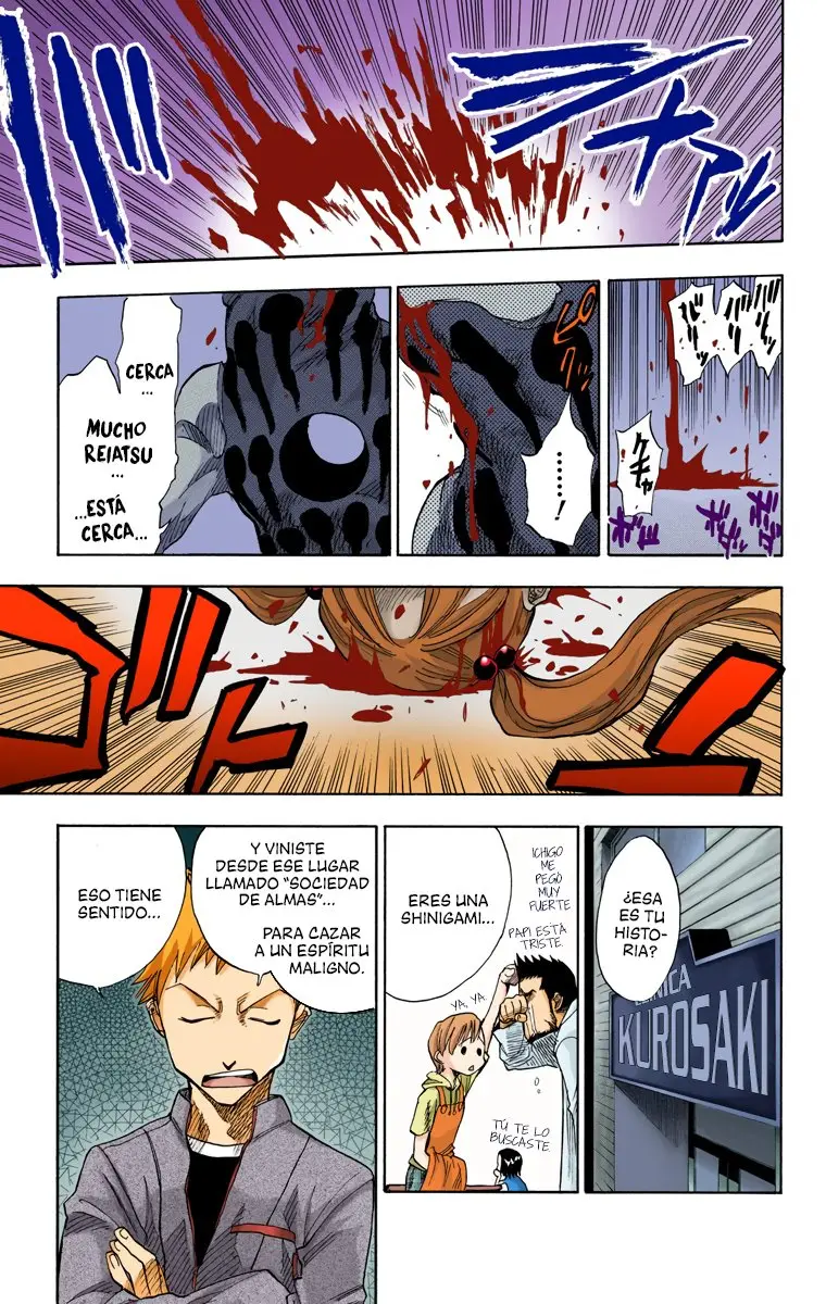 Bleach (Color) capítulo 1, página 17