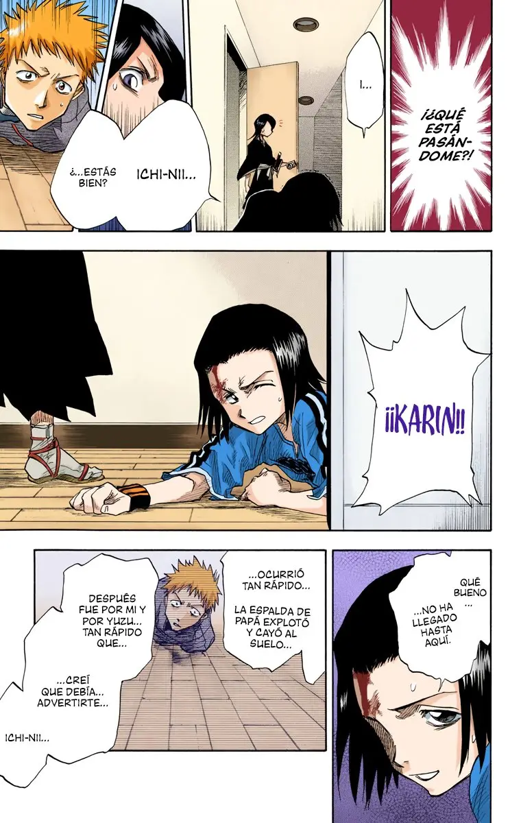Bleach (Color) capítulo 1, página 27