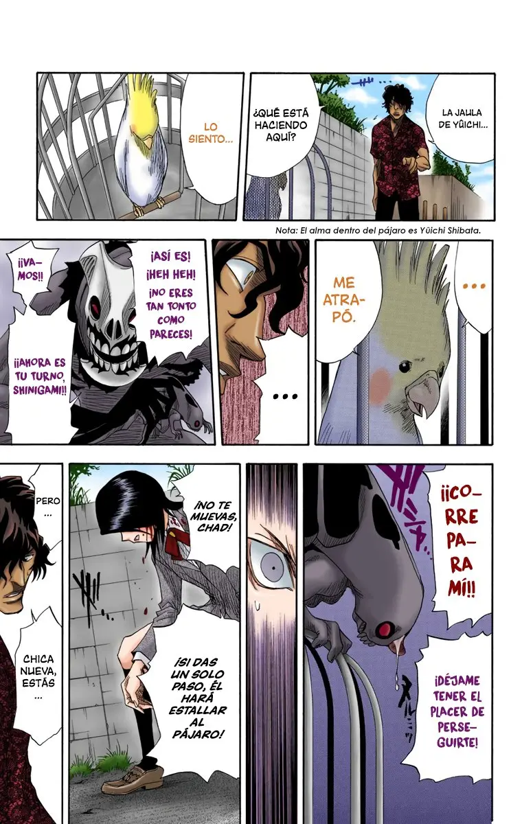 Bleach (Color) capítulo 10, página 13