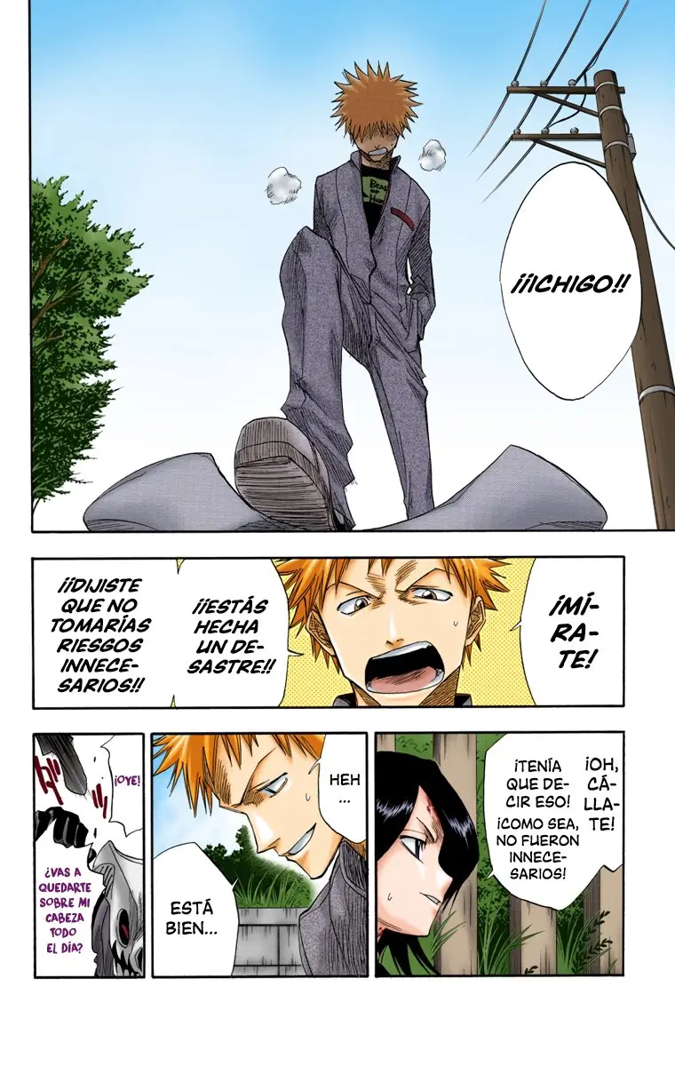 Bleach (Color) capítulo 10, página 18