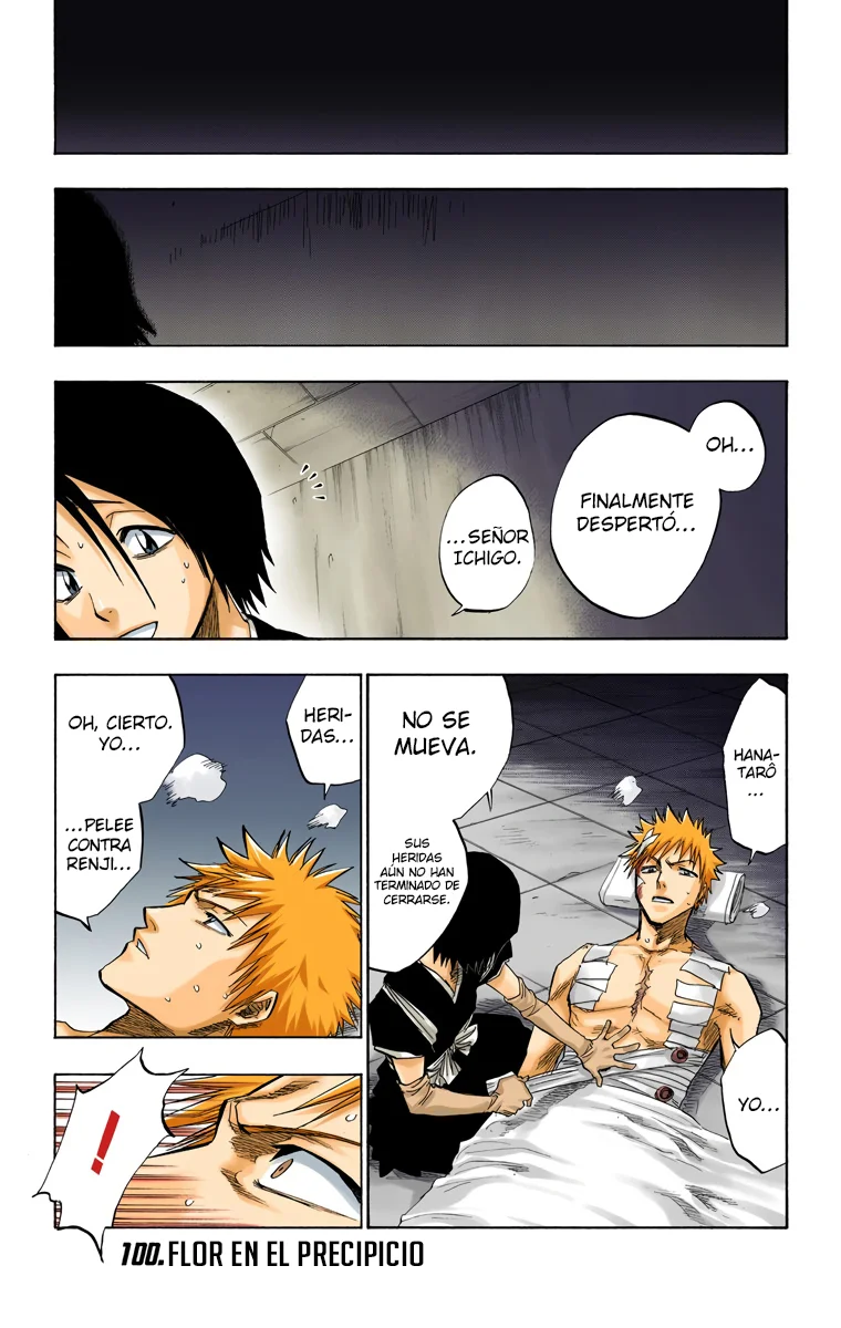 Bleach (Color) capítulo 100, página 2