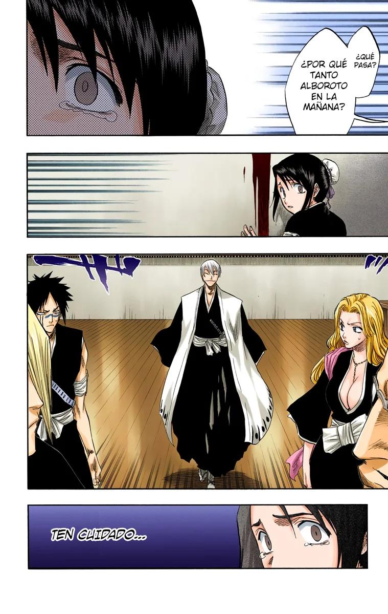 Bleach (Color) capítulo 101, página 6