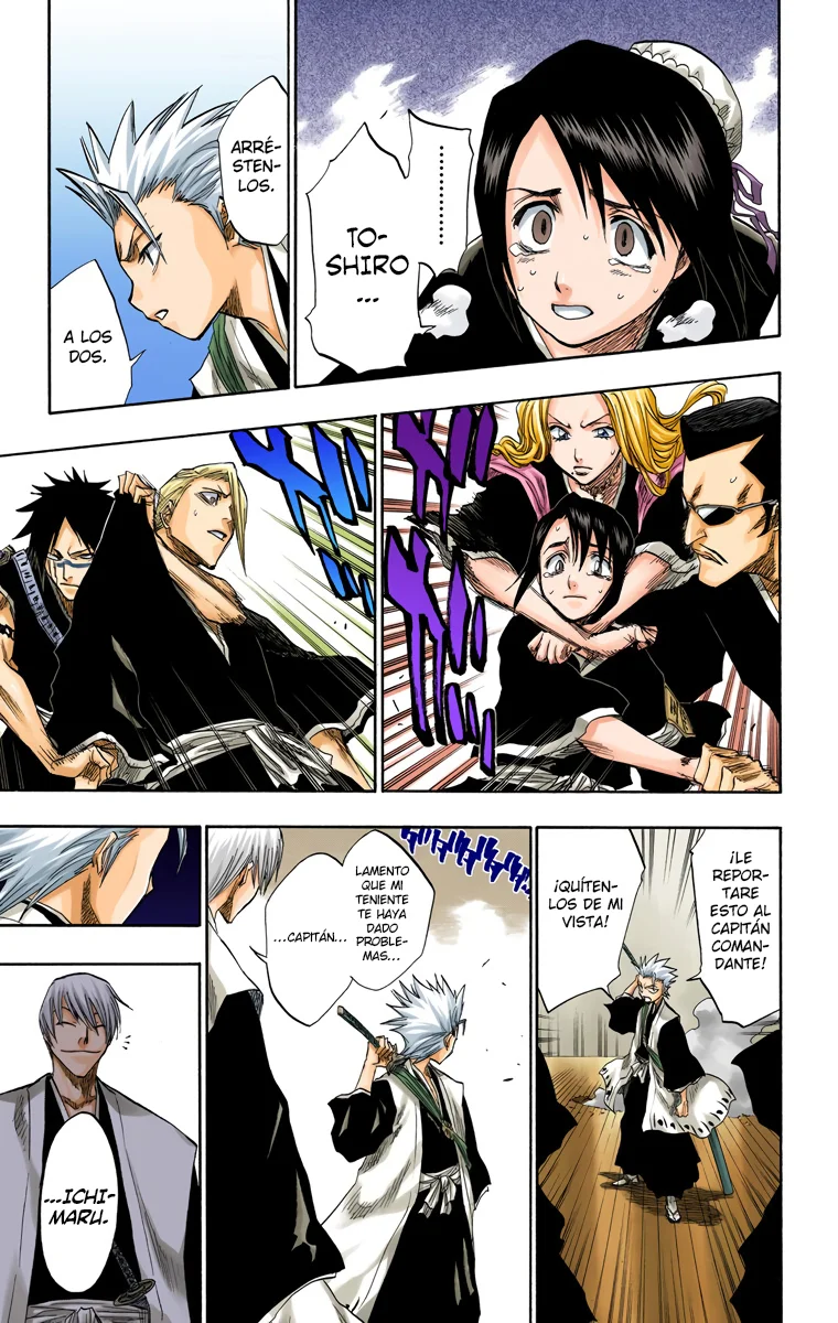 Bleach (Color) capítulo 101, página 17