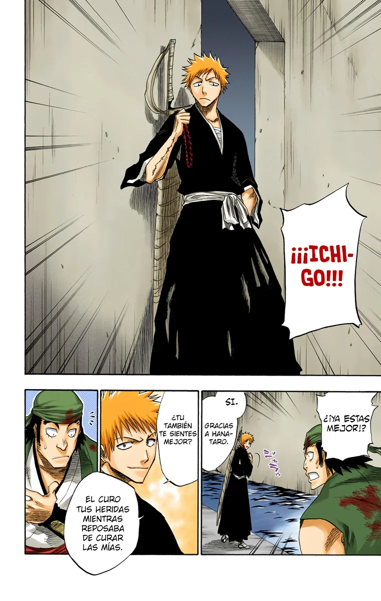Bleach (Color) capítulo 101, página 20
