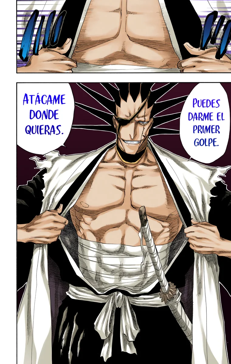 Bleach (Color) capítulo 104, página 13
