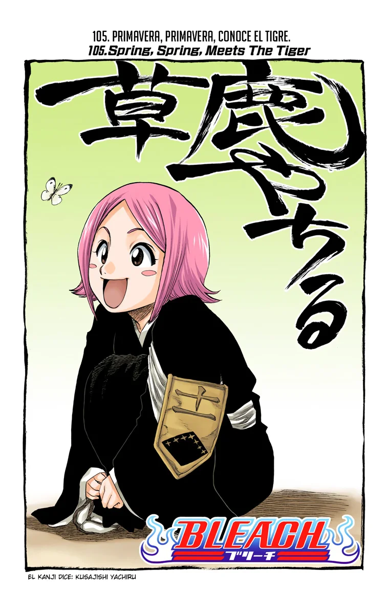 Bleach (Color) capítulo 105, página 10