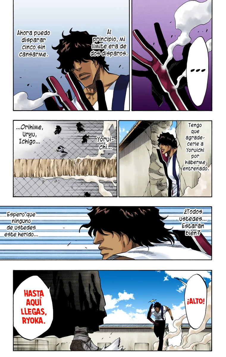 Bleach (Color) capítulo 105, página 12