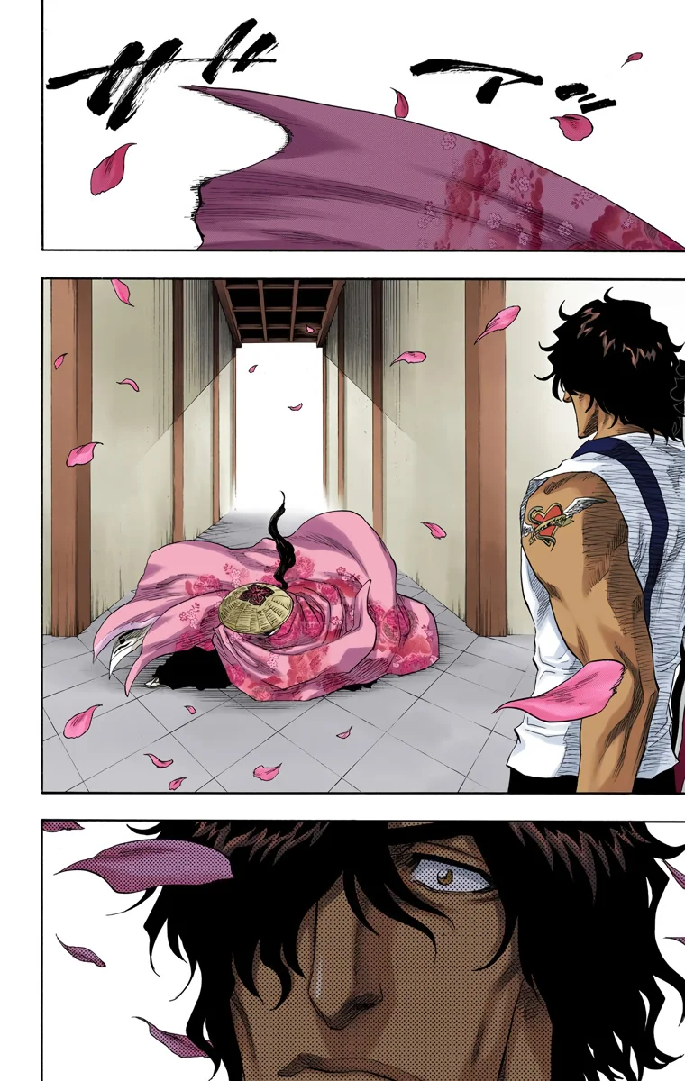 Bleach (Color) capítulo 105, página 17