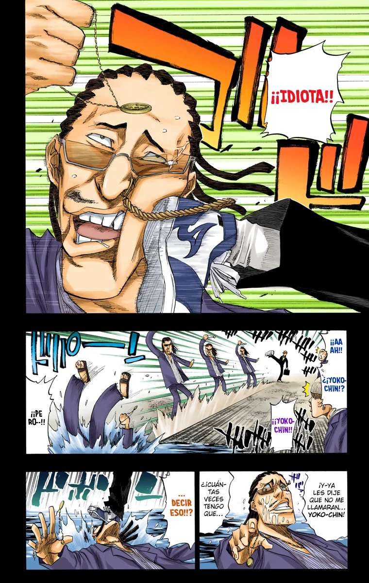 Bleach (Color) capítulo 107, página 13