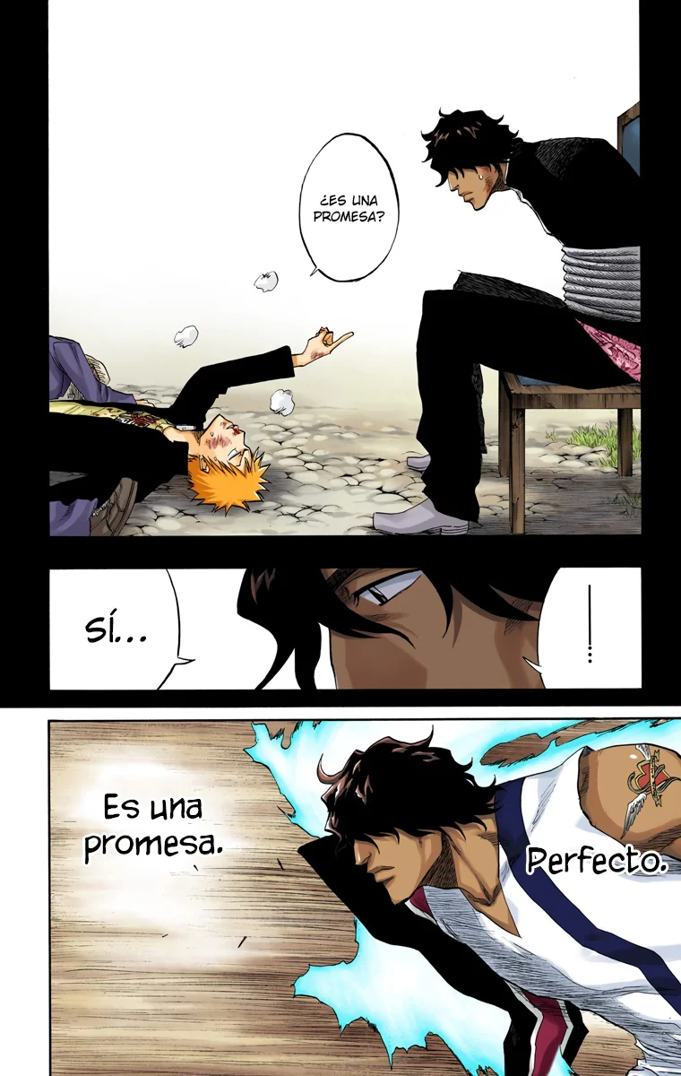 Bleach (Color) capítulo 107, página 17