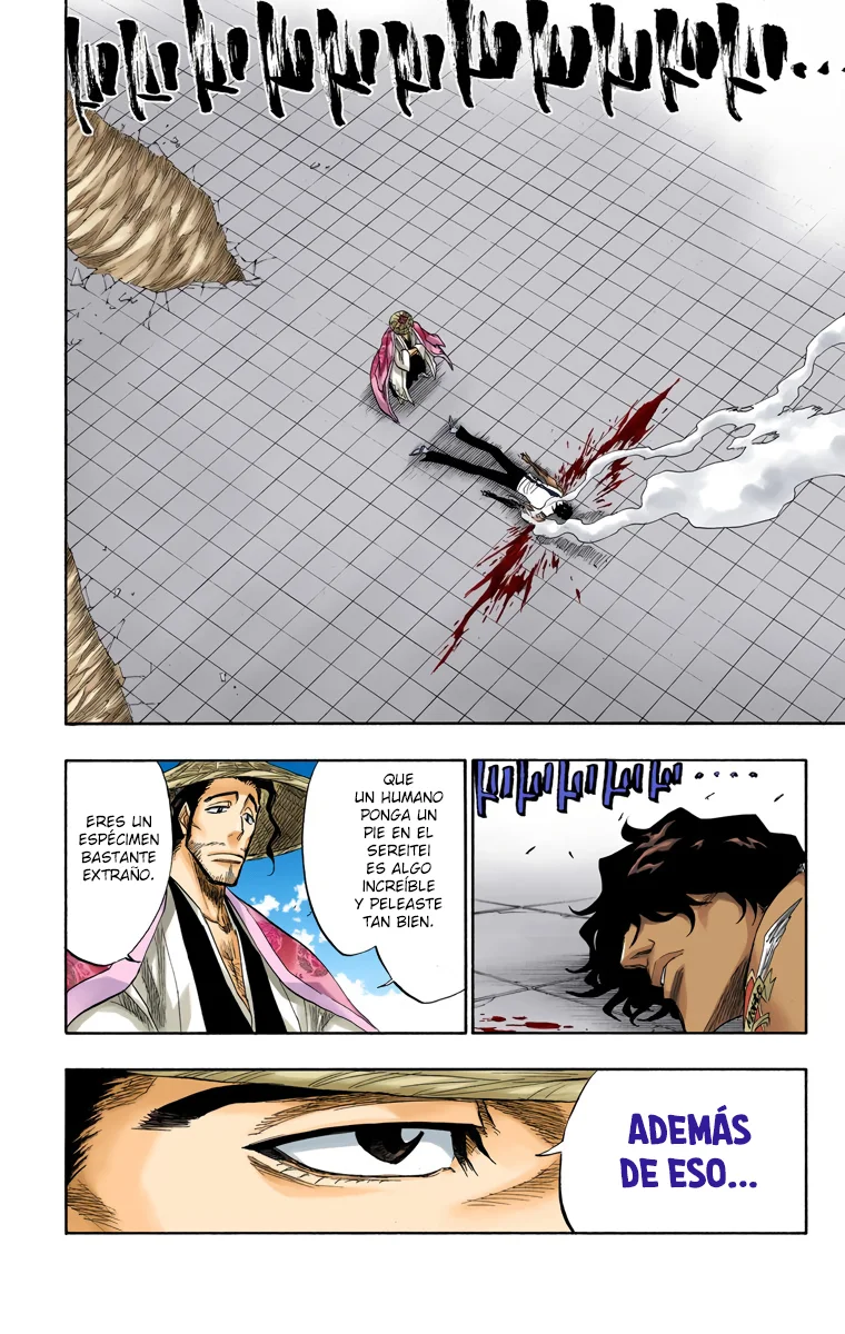 Bleach (Color) capítulo 108, página 7