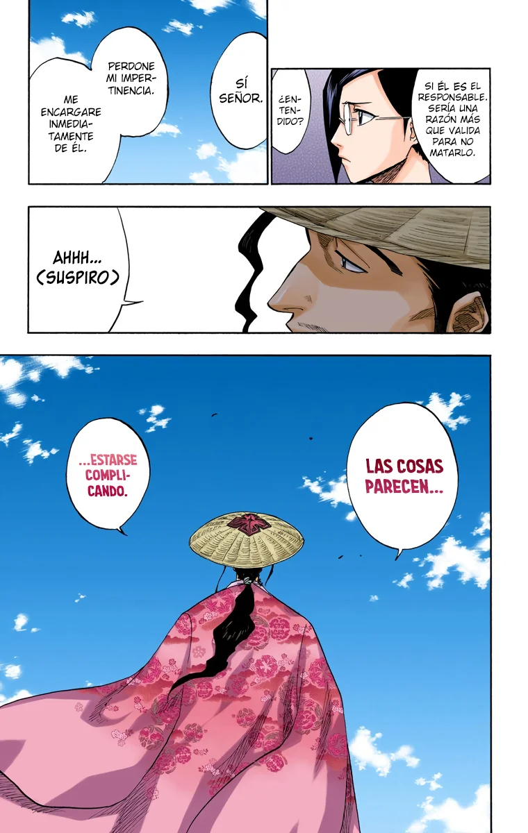 Bleach (Color) capítulo 108, página 12