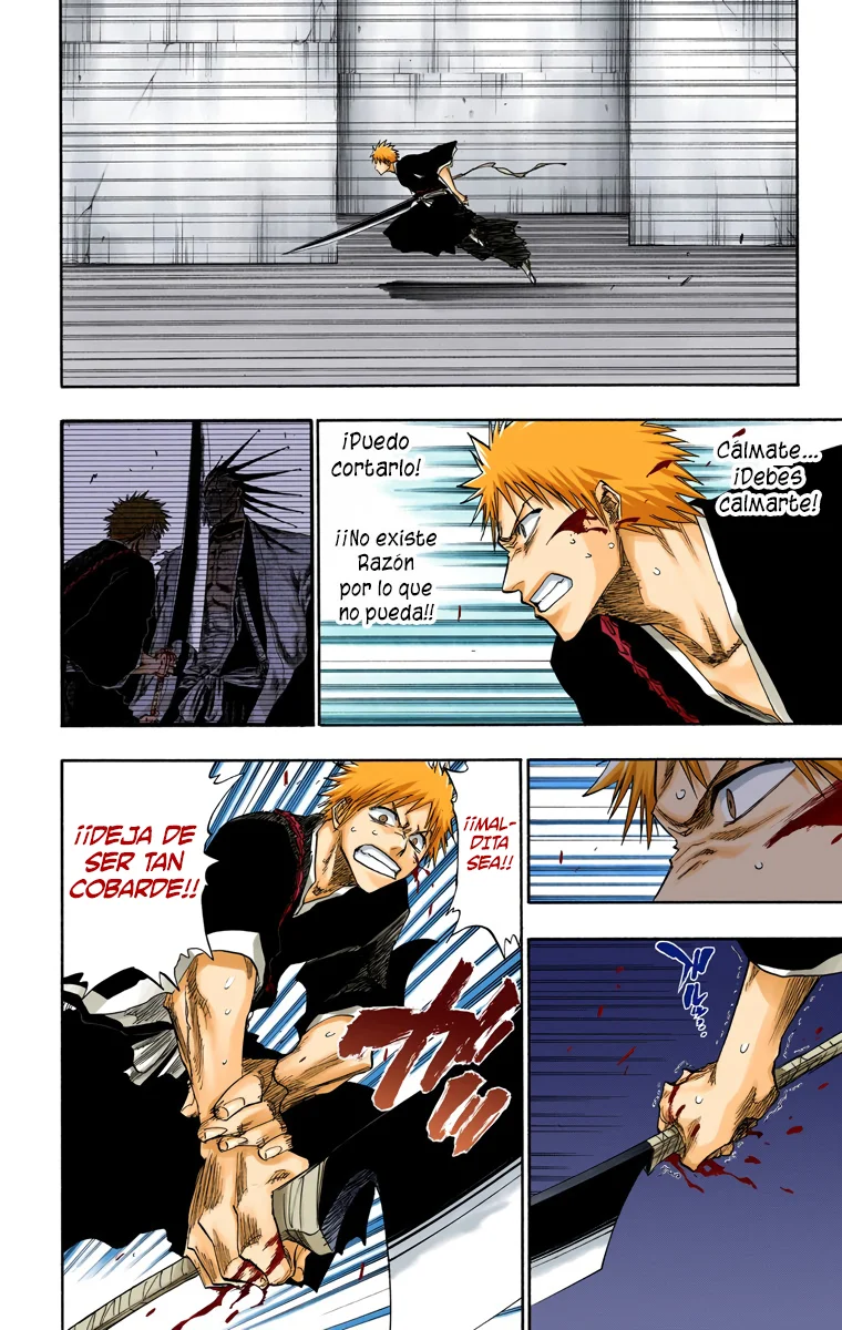 Bleach (Color) capítulo 108, página 17