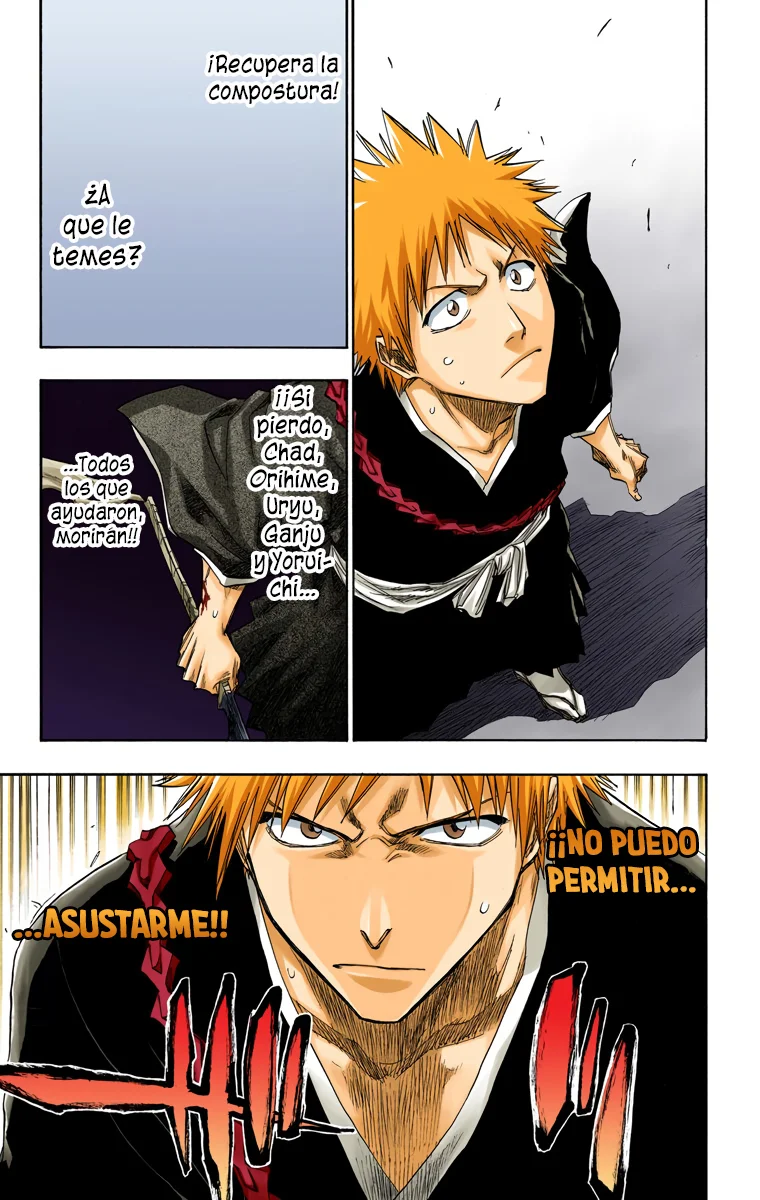 Bleach (Color) capítulo 108, página 24